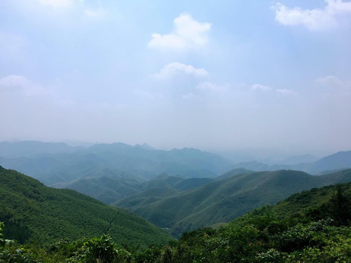 Moganshan Bamboo View Guesthouse Deqing Exteriör bild