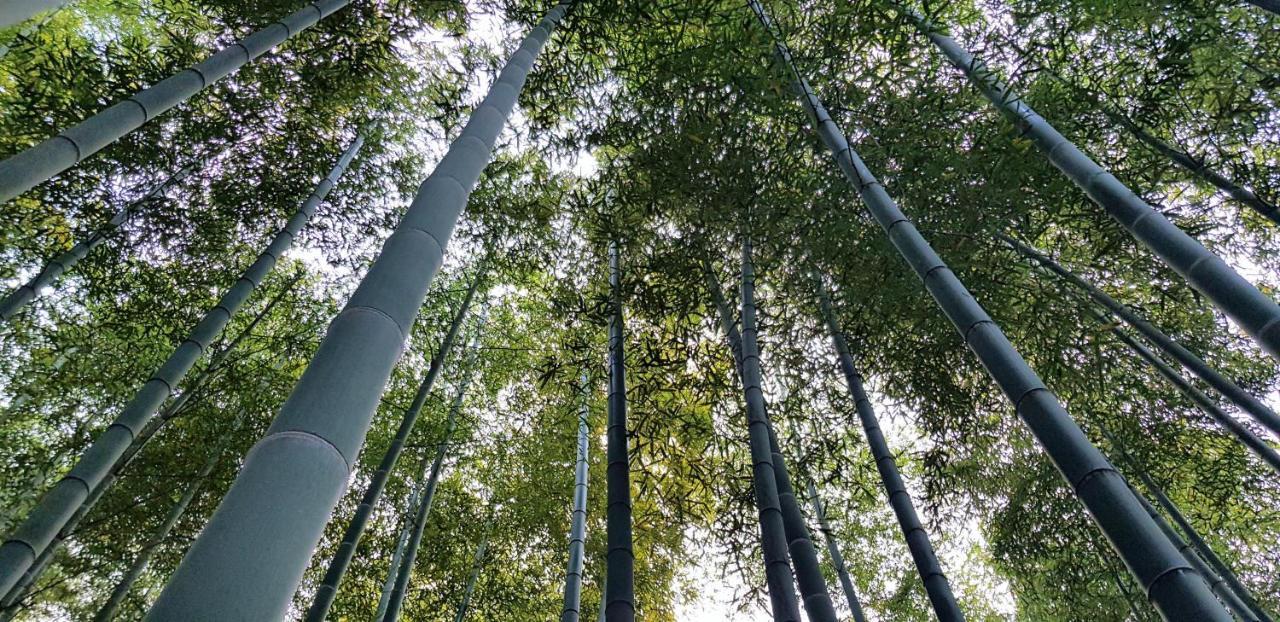 Moganshan Bamboo View Guesthouse Deqing Exteriör bild
